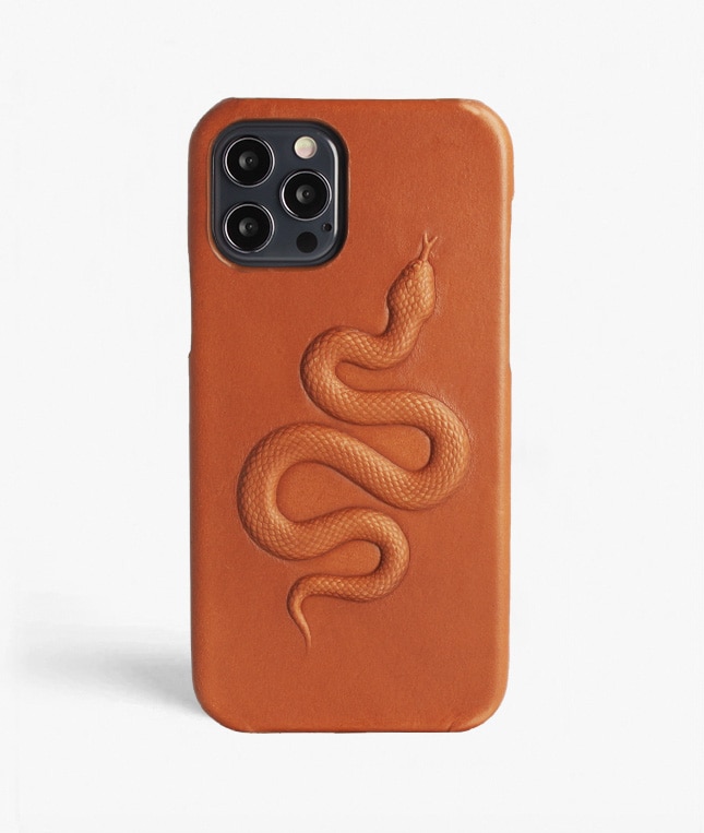Skal iPhone 12/iPhone 12 Pro Snake Brun