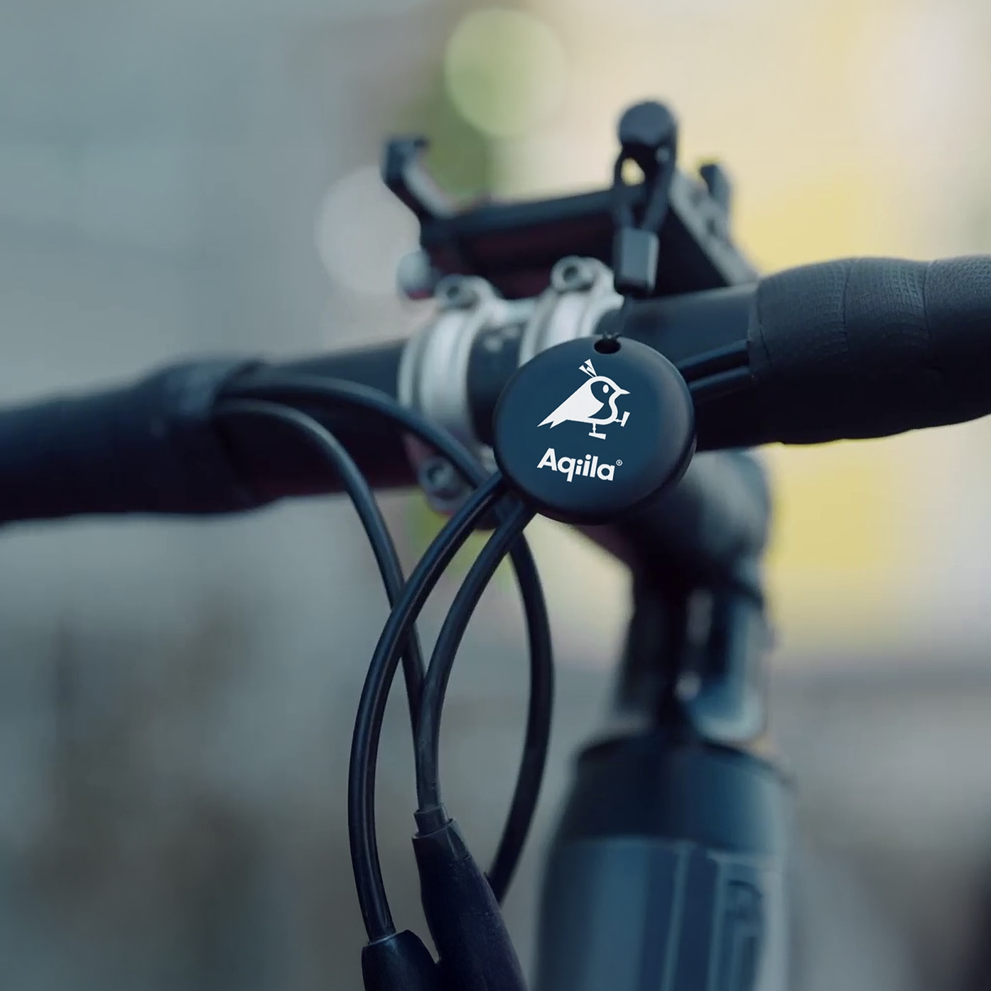 Tagbird Nyckelring (4-pack) 