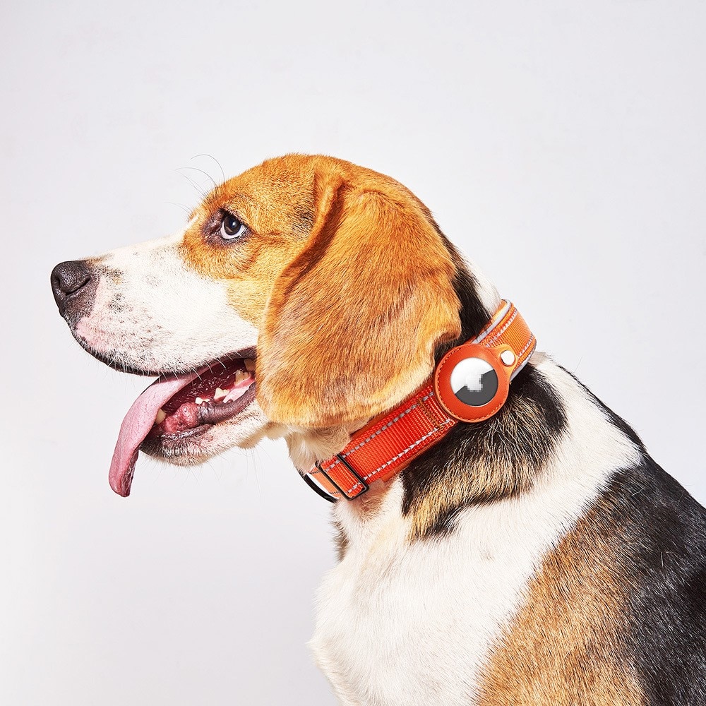 Apple AirTag Hundhalsband med Reflex S svart